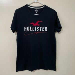 Hollister Men’s t-shirt in Black (Size: S)